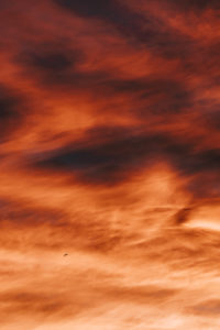 usa trip photographe venice beach sunset print - nicolas jacquemin